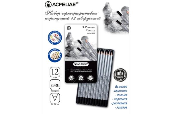 Набор карандашей ч/г ACMELIAE 12 твердостей (4H,3H,2H,B,B,2B,3B,4B,5B,6B,7B,8B) в картоне,