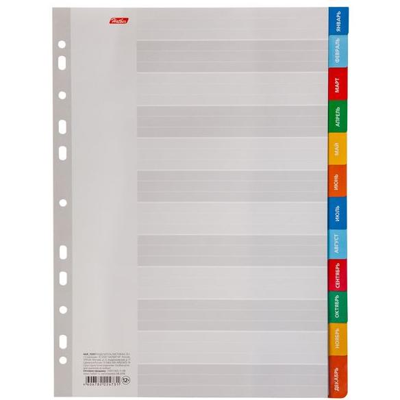 Разделитель картонный А4 12 л. Hatber Январь-Декабрь   в пленке