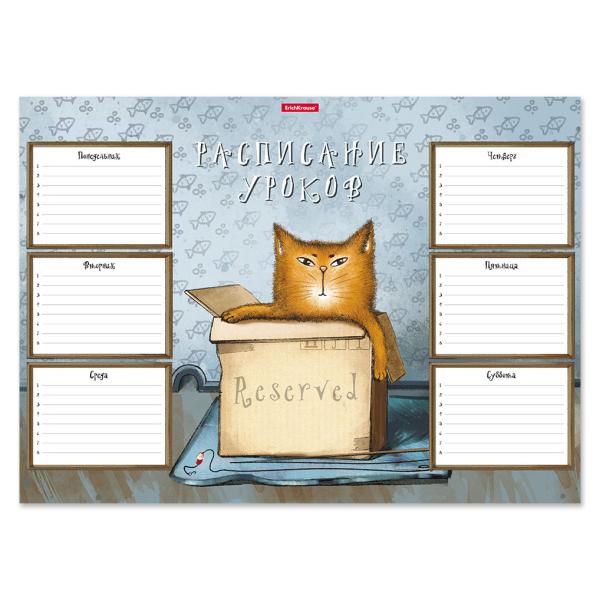Расписание уроков А3 EK Cat&Box