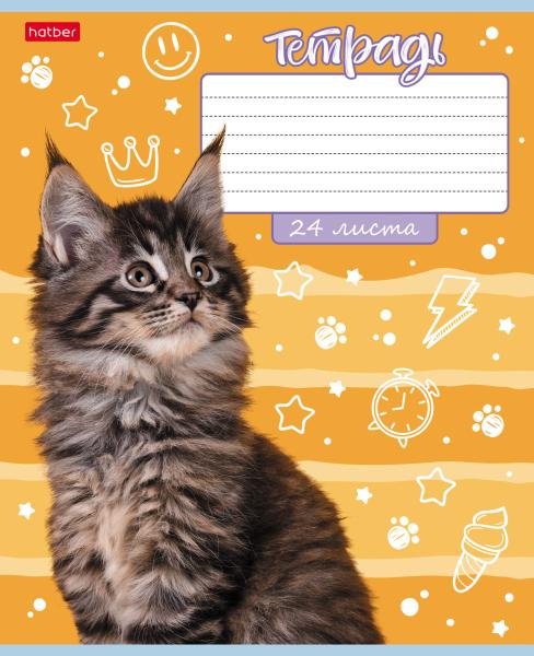 Тетрадь 24 л. ЛИН. Пластиковая обложка "Зеленая" 65г/кв.м