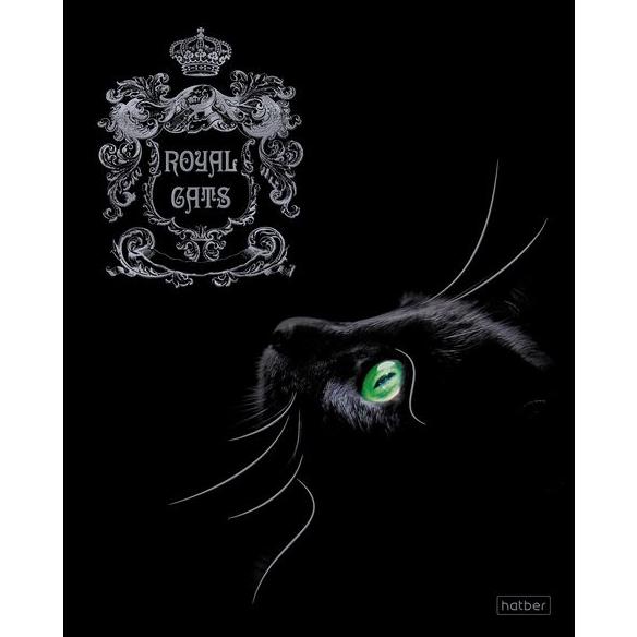 Тетрадь 48 л. кл. "Золотой апельсинчик" 65г/кв.м мат.ламин. 3D фольга 3D лак 5 диз.в блоке скругл.уг