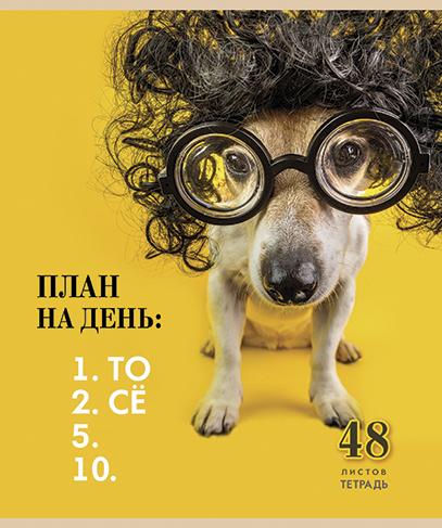 Тетрадь 48 л. кл. "То-се"