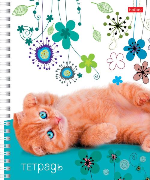 Тетрадь 48 л. кл. на гребне "Иди вперёд" 3 диз. в блоке