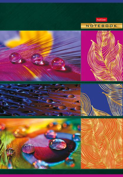 Тетрадь А4 96 л. кл. "Капельки" на скобе матов.ламин. 3D фольга 3D лак 