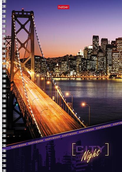 Тетрадь А4 96 л. кл. на гребне "Ночной город"