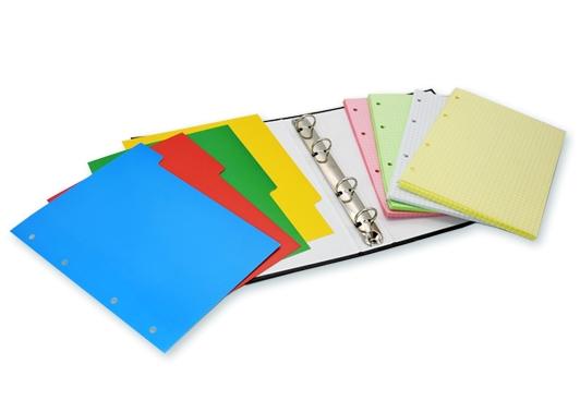 Тетрадь на кольцах 4х50 л. 4 цвета с раздел. "Российская символика"