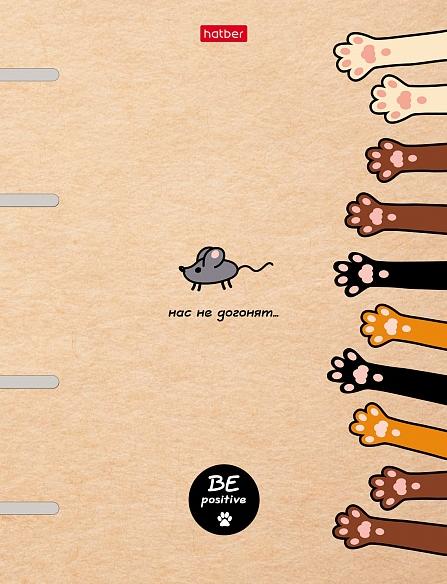 Тетрадь на кольцах 80 л. А5 "На мягких лапках" Слим-картон с высечкой под кольца глянц. ламин.