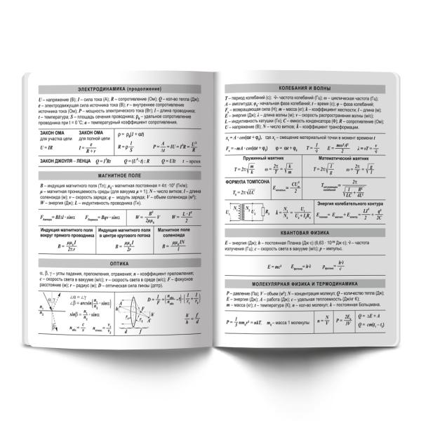 Тетрадь предмет. 40 л. кл. "School Life" Физика "SVETOCH"