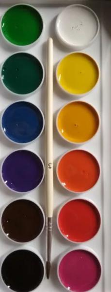 Акварель 12 цв. с/к "ZOO" пл/упак.