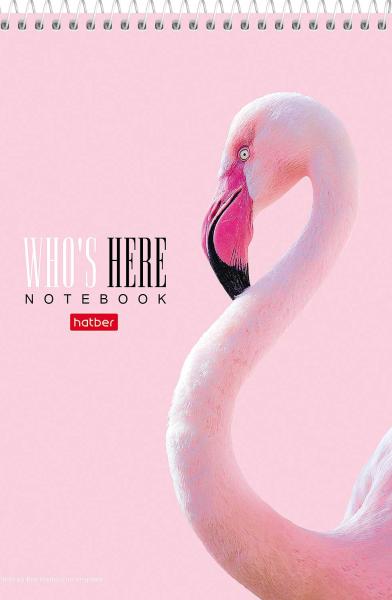 Блокнот А5 60 л. кл. "Время Управлять" Обл. мел.картон УФ-лак жесткая подложка на спирали