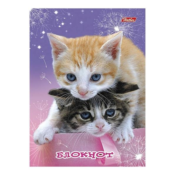 Блокнот А6 24 л. кл. "Наши друзья" ассорти