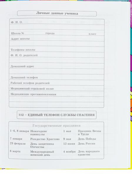 Дневник 1-11 кл. 40 л. тв.переплет "PSY ART" глянц.лам.