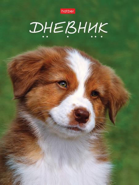 Дневник 1-11 кл. 40 л. тв.переплет "Верный друг" глянц. ламин.