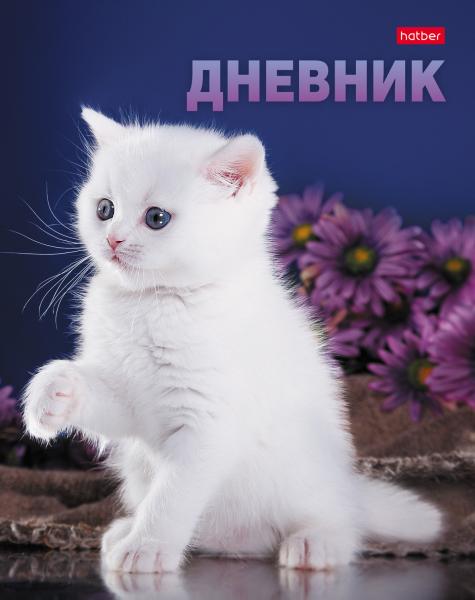 Дневник 1-11 кл. 40 л. тв.переплет "Я котик и у меня лапки" глянц. ламин.