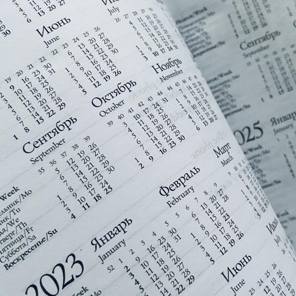 Ежедневник недат А5 лин. "КАРИБСКИЕ ЛЕНИВЦЫ"