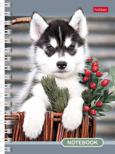 Записная книжка А6 140 л. кл. на гребне "Любимцы"