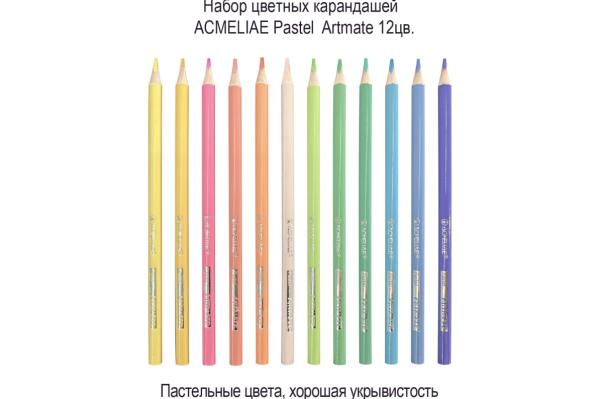 Карандаши 12 цв. пастель ACMELIAE Pastel Artmate 12цв. в картонном футляре,