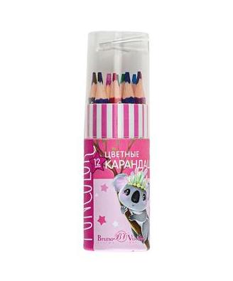 Карандаши 12 цв. укороченные, BV FunColor, пенал