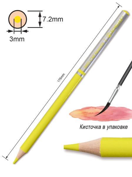 Карандаши 24 цв. акварельные ACMELIAE + кисточка,