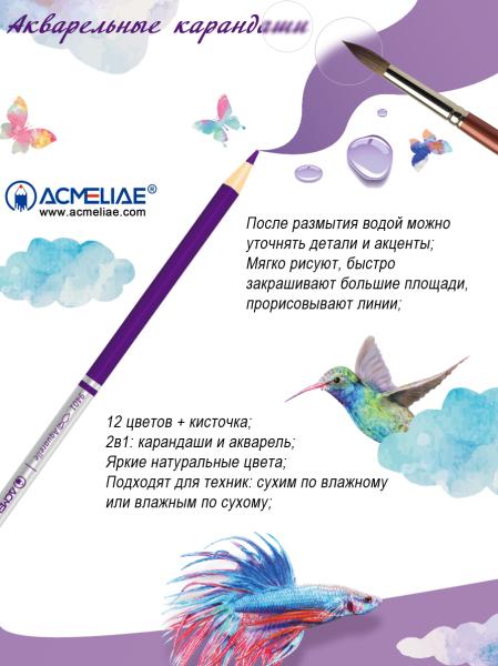 Карандаши 24 цв. акварельные ACMELIAE + кисточка,
